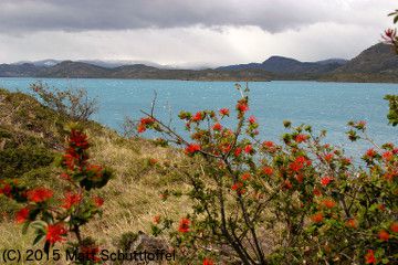 Odoo - Sample 2 for three columns